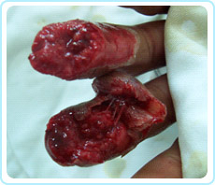 俄罗斯贵宾会·(中国)集团