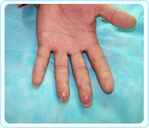 俄罗斯贵宾会·(中国)集团