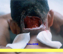 俄罗斯贵宾会·(中国)集团