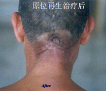 俄罗斯贵宾会·(中国)集团