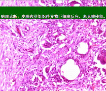 俄罗斯贵宾会·(中国)集团