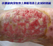 俄罗斯贵宾会·(中国)集团