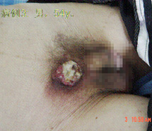 俄罗斯贵宾会·(中国)集团