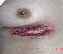 俄罗斯贵宾会·(中国)集团