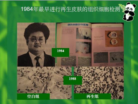 俄罗斯贵宾会·(中国)集团