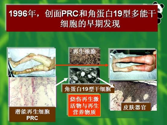 俄罗斯贵宾会·(中国)集团