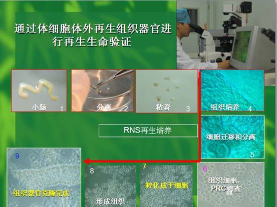 俄罗斯贵宾会·(中国)集团