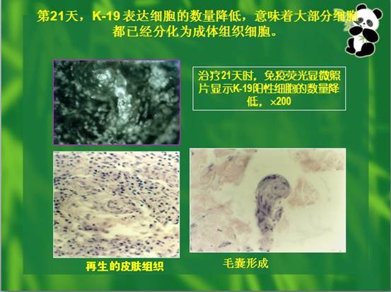 俄罗斯贵宾会·(中国)集团
