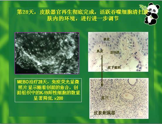俄罗斯贵宾会·(中国)集团