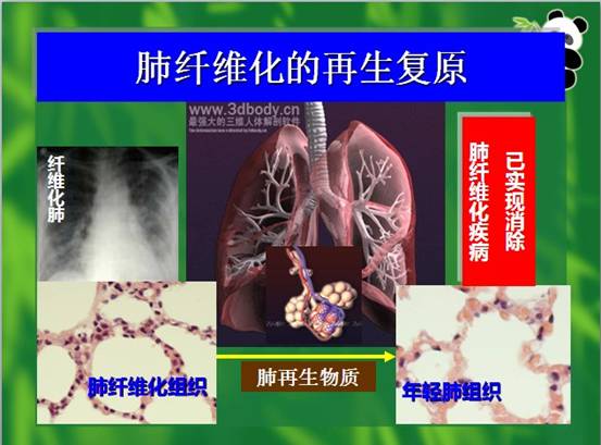 俄罗斯贵宾会·(中国)集团
