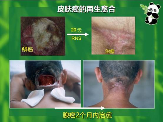 俄罗斯贵宾会·(中国)集团