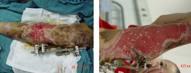 俄罗斯贵宾会·(中国)集团