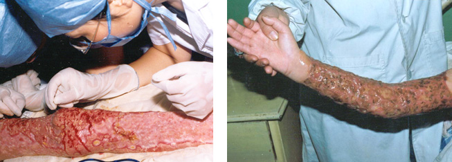 俄罗斯贵宾会·(中国)集团