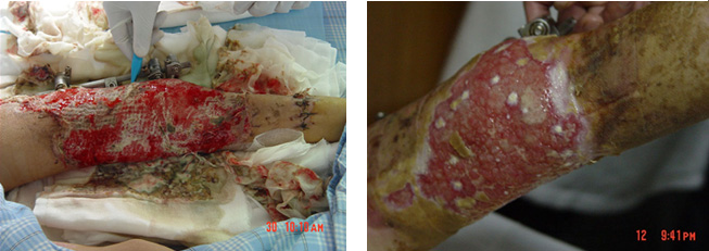 俄罗斯贵宾会·(中国)集团