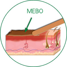 俄罗斯贵宾会·(中国)集团