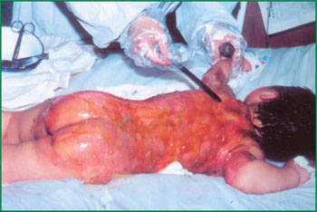 俄罗斯贵宾会·(中国)集团