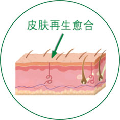 俄罗斯贵宾会·(中国)集团