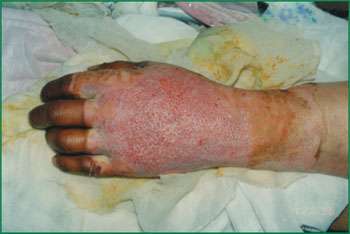 俄罗斯贵宾会·(中国)集团