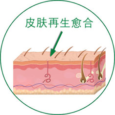 俄罗斯贵宾会·(中国)集团
