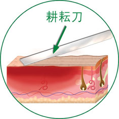 俄罗斯贵宾会·(中国)集团