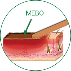 俄罗斯贵宾会·(中国)集团