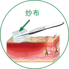 俄罗斯贵宾会·(中国)集团