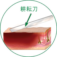 俄罗斯贵宾会·(中国)集团