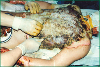 俄罗斯贵宾会·(中国)集团