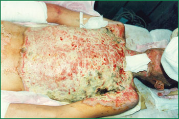 俄罗斯贵宾会·(中国)集团