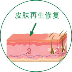 俄罗斯贵宾会·(中国)集团