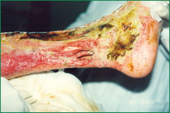 俄罗斯贵宾会·(中国)集团