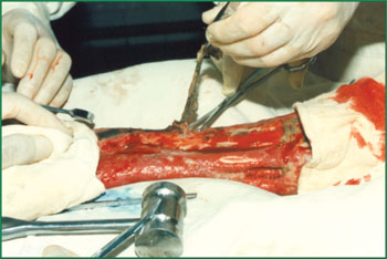 俄罗斯贵宾会·(中国)集团