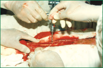 俄罗斯贵宾会·(中国)集团