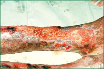 俄罗斯贵宾会·(中国)集团