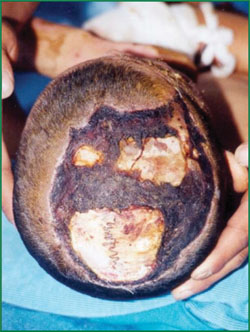 俄罗斯贵宾会·(中国)集团