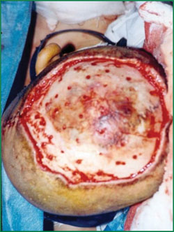 俄罗斯贵宾会·(中国)集团