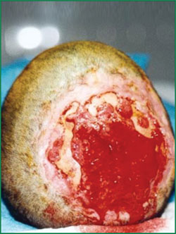 俄罗斯贵宾会·(中国)集团