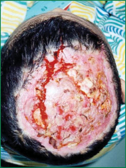 俄罗斯贵宾会·(中国)集团