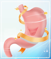 俄罗斯贵宾会·(中国)集团