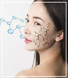 俄罗斯贵宾会·(中国)集团