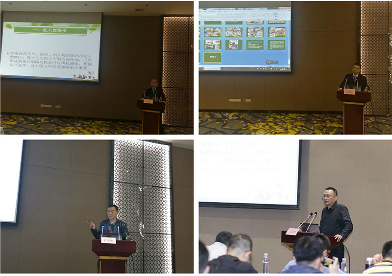 ����˹����ᡤ(�й�)����