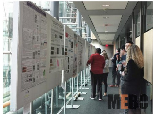 ����˹����ᡤ(�й�)����