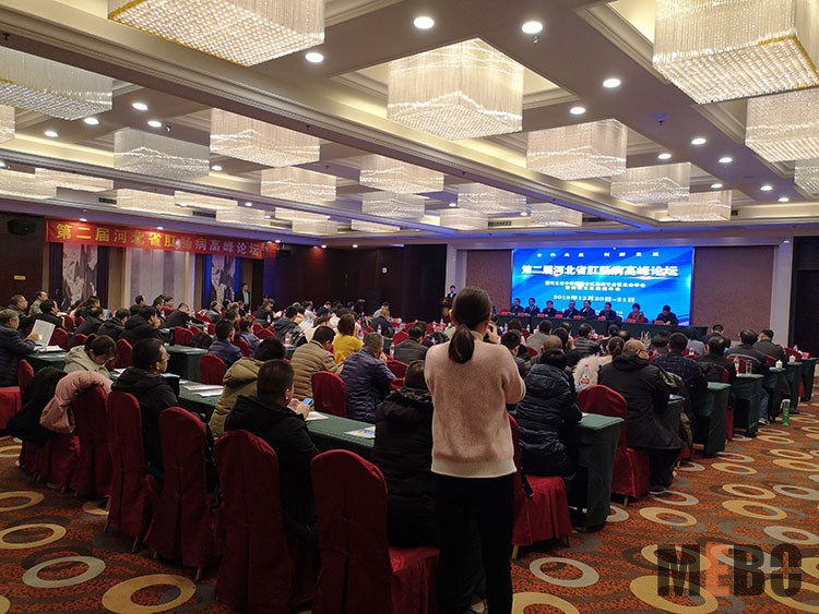 ����˹����ᡤ(�й�)����