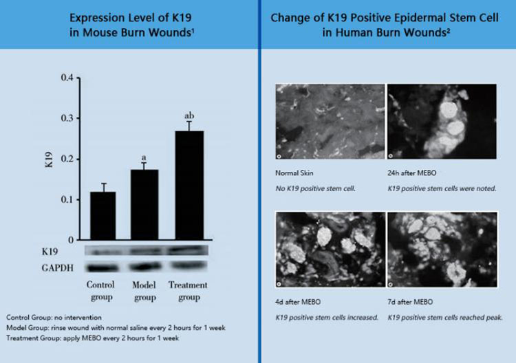 ����˹����ᡤ(�й�)����