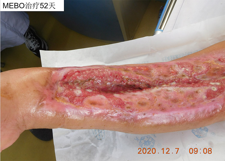 ����˹����ᡤ(�й�)����