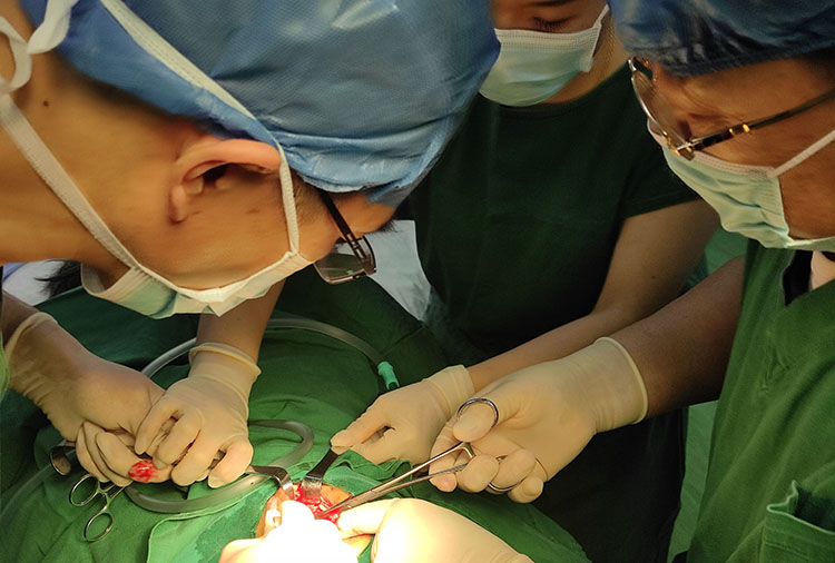 ����˹����ᡤ(�й�)����