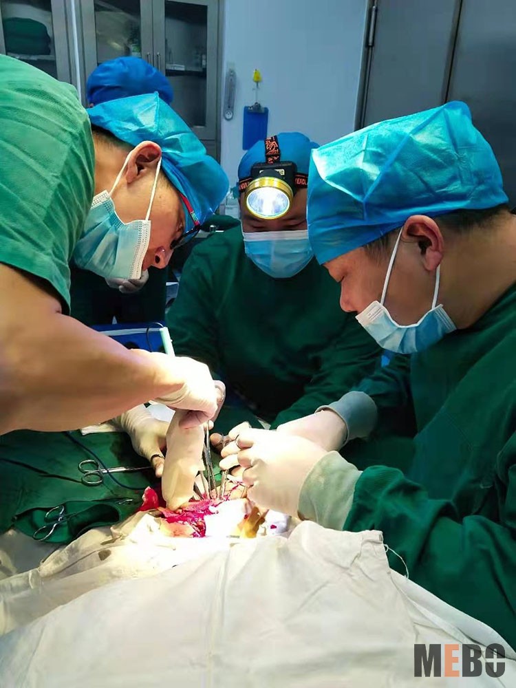 ����˹����ᡤ(�й�)����