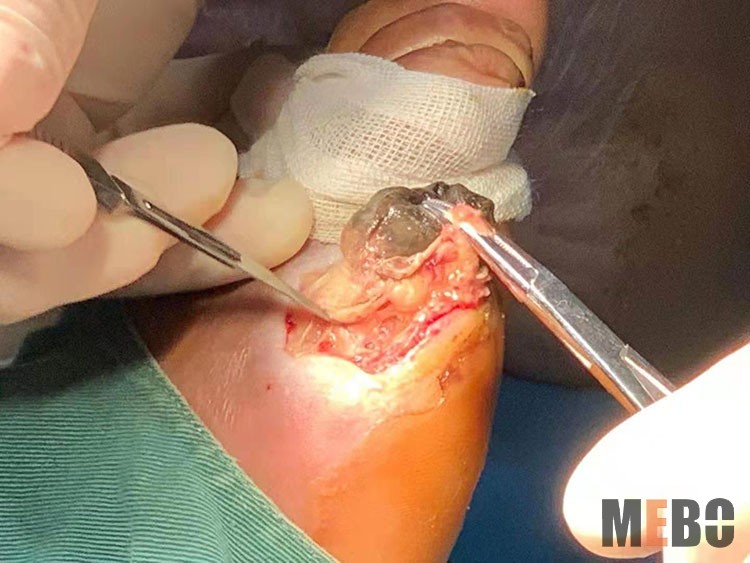 ����˹����ᡤ(�й�)����