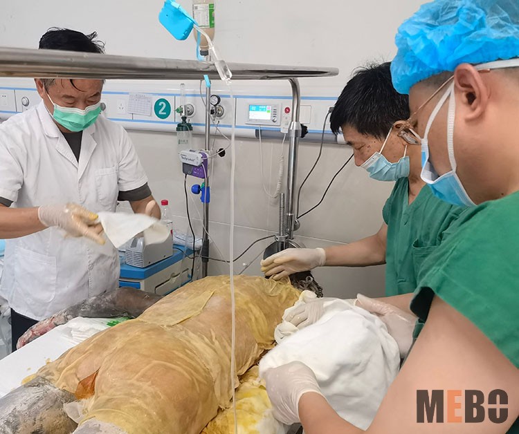 ����˹����ᡤ(�й�)����