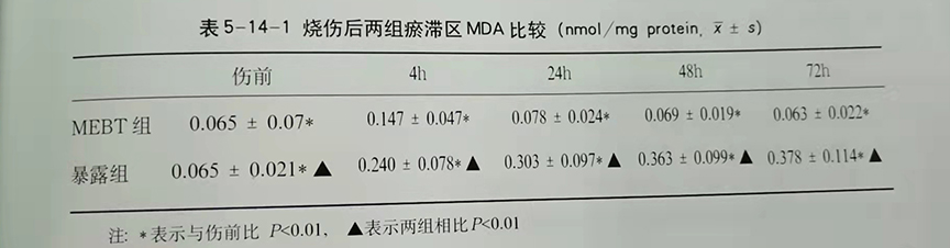 ����˹����ᡤ(�й�)����